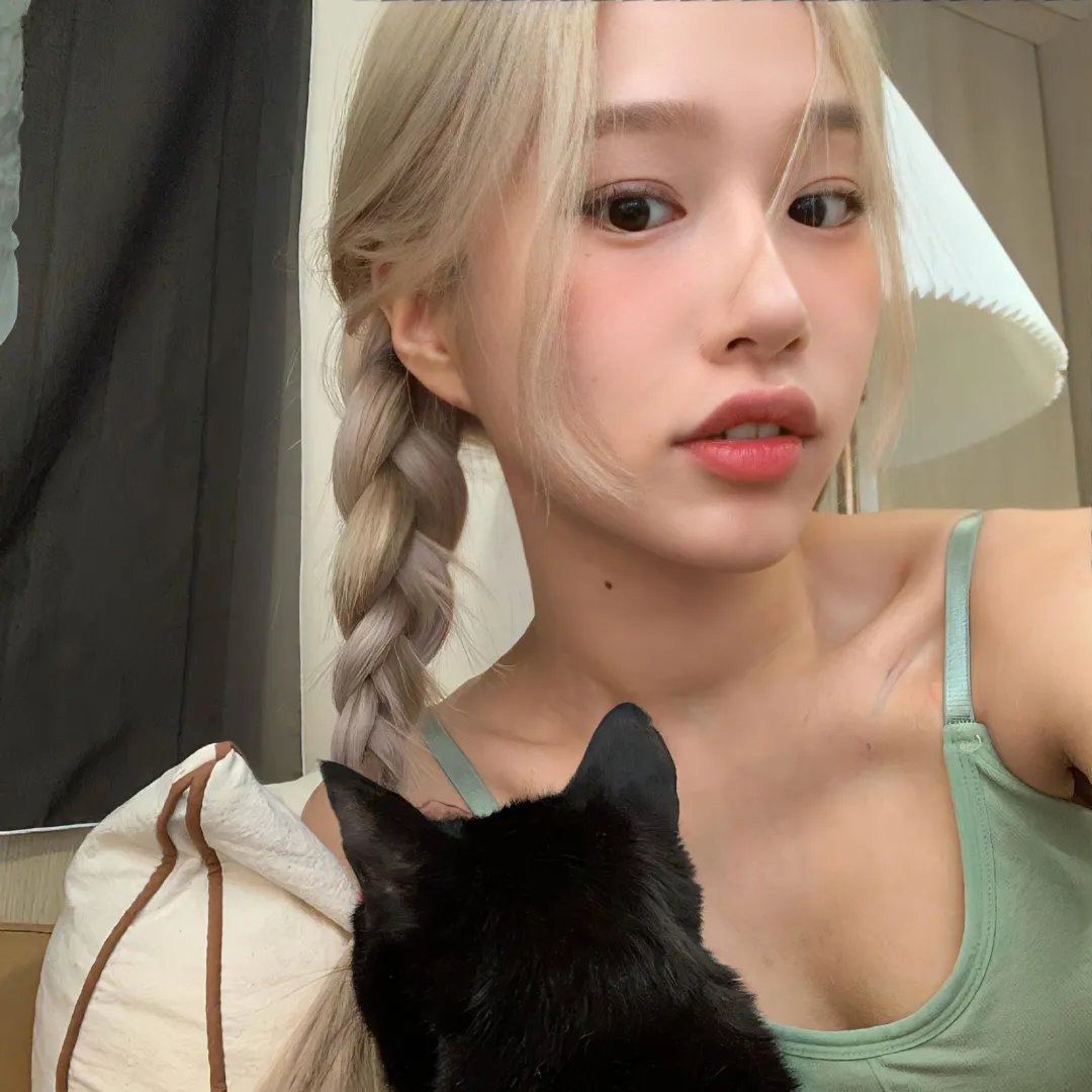 房子的故事